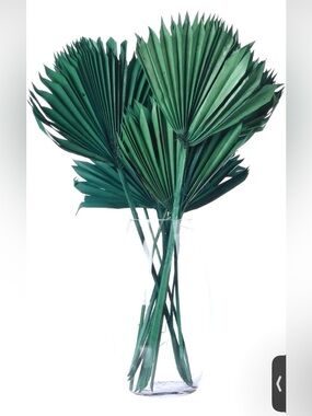 Vickerman Natural Botanicals 13.75 - 19.5" Emerald Dried Palm Sun Spear, 12 pcs